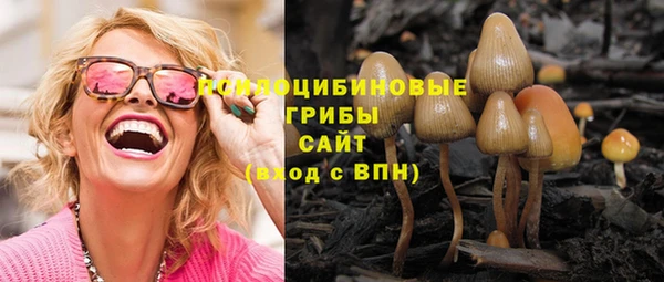 spice Алексин