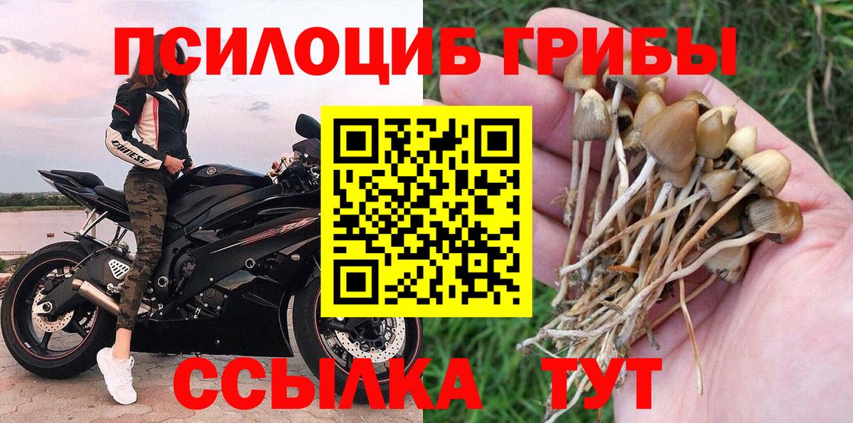Шали  Галлюциногенные грибы GOLDEN TEACHER  Вход с VPN 